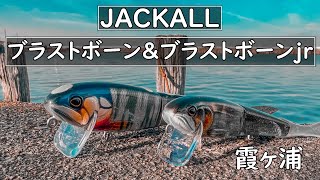 【バス釣り】早春の霞ヶ浦でブラストボーン(jr)は釣れるのか検証してみた【ジャッカル】