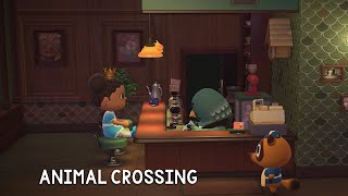 animal crossing || finally expanding