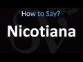 How to Pronounce Nicotiana (CORRECTLY!)