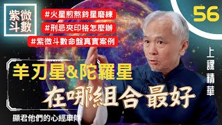 【上課精華】你的《羊刃星＆陀羅星》在哪組合最好？火星煎熬＆鈴星磨練！刑忌夾印格怎麼辦？紫微斗數命盤真實案例說明！上課精華完整版請至會員區觀賞－顯君他們的心經車隊【CC字幕】