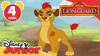The Lion Guard | Learning Animals 🦁 | Disney Kids