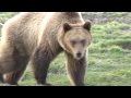 washington state university arboretum and wildlife conservation center groundbreaking ceremony