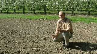 Biodiversité en arboriculture