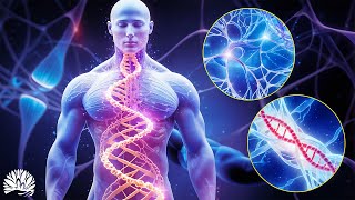 432Hz- Alpha Waves Heal Damage In The Body and Soul, Relieve Stress, Verified Music Therapy