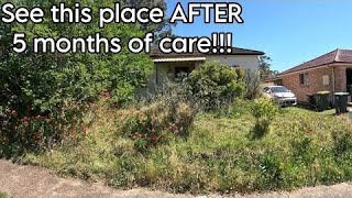 Nature Attempts To Takeover Property | Let's Restore This Mess!