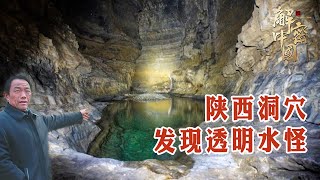 陕西洞穴发现透明水怪，样貌奇特全身透明，水中横着游动如同鬼魅，已经生活千万年【绿野中国】