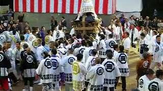 2017松山秋まつり　古町大神輿　宮出し４本