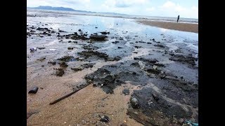 วิกฤต! หาดจอมเทียน น้ำเสียทะลักออกสู่ทะเลดำทะมึนทั่วชายหาด นักท่องเที่ยวเผ่นหนี