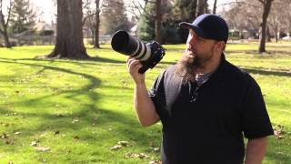 Canon 70-300 4-5.6L Review