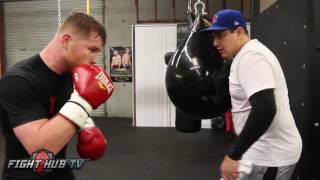 Canelo vs. Chavez Jr. - Canelo Alvarez's Best training highlights for Chavez Jr.