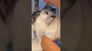 How Cats Say I LOVE U 💕 #facts