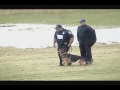 2008 uspca regionals criminal apprehension with gunfire