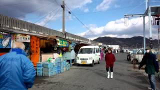 寄島 新鮮 牡蠣市場