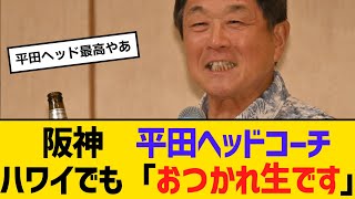 阪神　平田ヘッドコーチ、ハワイでも「おつかれ生です」　【2ch】【5ch】【反応】