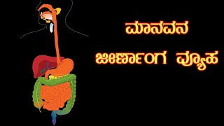 Human Digestive System in Kannada | ಮಾನವನಲ್ಲಿ ಜೀರ್ಣಾಂಗ ವ್ಯೂಹ |