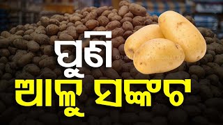 Potato Prices Continue To Surge In Odisha, Burns Hole In Pocket Of Consumers