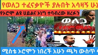 የኦሮሞ ልዩ ሀይል ነው ነገደለን  //መንግስት አለ ብለን ነበር///የወለጋ ተፈናቃዮች