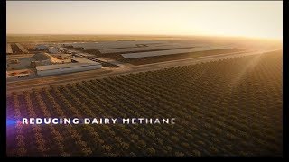 Climate-Smart Dairy