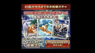 【戦国炎舞】 犬ガチャに2台で挑戦(2018 7リセット)