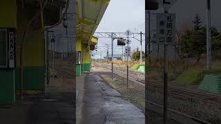 小雨の月曜日、江部乙駅を通過する稚内行き宗谷です！