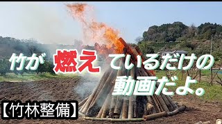 竹が燃えているだけの動画だよ。　　　　　【竹林整備】