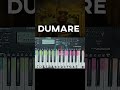 dumare දුමාරේ follow ychords for more keyboard covers shorts viralvideo