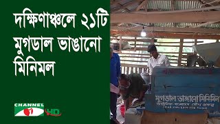 মুগডাল আবাদ বাড়লেও ন্যায্যমূল্য পাচ্ছে না কৃষক