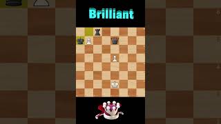 brilliant end game💎💎#chess #brilliant