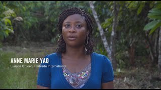 Fairtrade-Kakao aus der Elfenbeinküste - Gemeinsam mehr erreichen