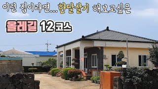 이런 집이라면 제주 한달살기 해보고싶은 곳   제주 올레길 12코스