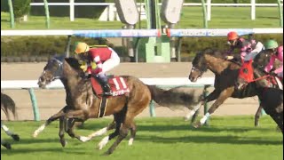 【武豊】ボンドガール 紫苑Sは秋華賞への脚ならしか、後方からの競馬で鋭く伸びてギリギリ3着に滑り込む