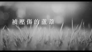 被壓傷的蘆葦 -- Ivy Kwan's songs 關淑貞原創詩歌 (粵語詩歌)