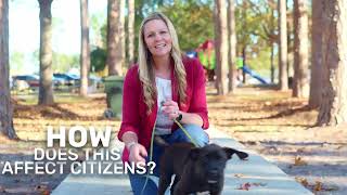 Special Purpose Local Option Sales Tax (SPLOST) IX