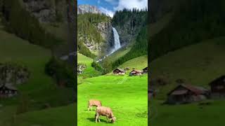 سويسرا طبيعة  Switzerland