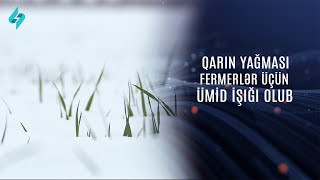 “Min əzab çəksə də əkinçi qarda, Yenə taxılına qar yorğan olur\