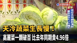 天冷! 高麗菜一顆破百元 自助餐業心淌血－民視新聞