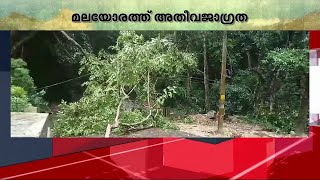 വിതുര-പൊൻമുടി റോഡിൽ മരം വീണു; ഗതാഗതം തടസപ്പെട്ടു | Kerala Rain Alert