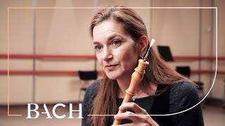 Musicians on the 'Brandenburg' concertos | Netherlands Bach Society