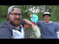 bdgc disc review 33 rpm discs tara iti giveaway ends 5 10 2023