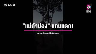 “แม่กำปอง” แทบแตก! นทท หลั่งไหลไปสัมผัสหนาว