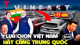 Ấn Độ Từ Chối Tỷ Đô từ Trung Quốc, Rộng cửa mời VINFAST,Tesla  Cạnh tranh xe điện BYD của TQ.