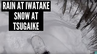 Swapping Rain At Hakuba Iwatake For Fresh Snow At Tsugaike