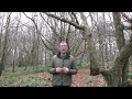 bushcraft uses for hornbeam