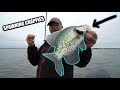 Early Spring Crappie Fishing Tips