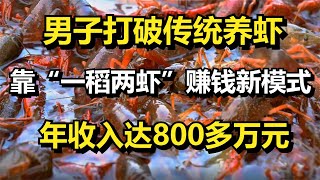 男子打破传统养虾，靠“一稻两虾”赚钱新模式，年入800多万元！