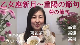 【乙女座新月〜9月9日重陽の節句】乙女座新月に願い、重陽の節句（菊の節句）に菊を愛でて祝う