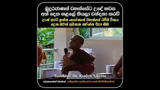 බුදුරජාණන් වහන්සේට උදේ හවස අත් දෙක නළලේ තියලා වන්දනා කරව්දැන් අපට ඉන්න ශාස්තෘන් වහන්සේ ධර්ම විනය දෙක