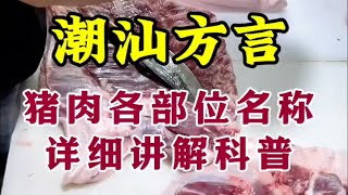 【“解剖”一只猪】🐷潮汕话解说 —— 怎么吃猪猪最好吃！你学废了吗？