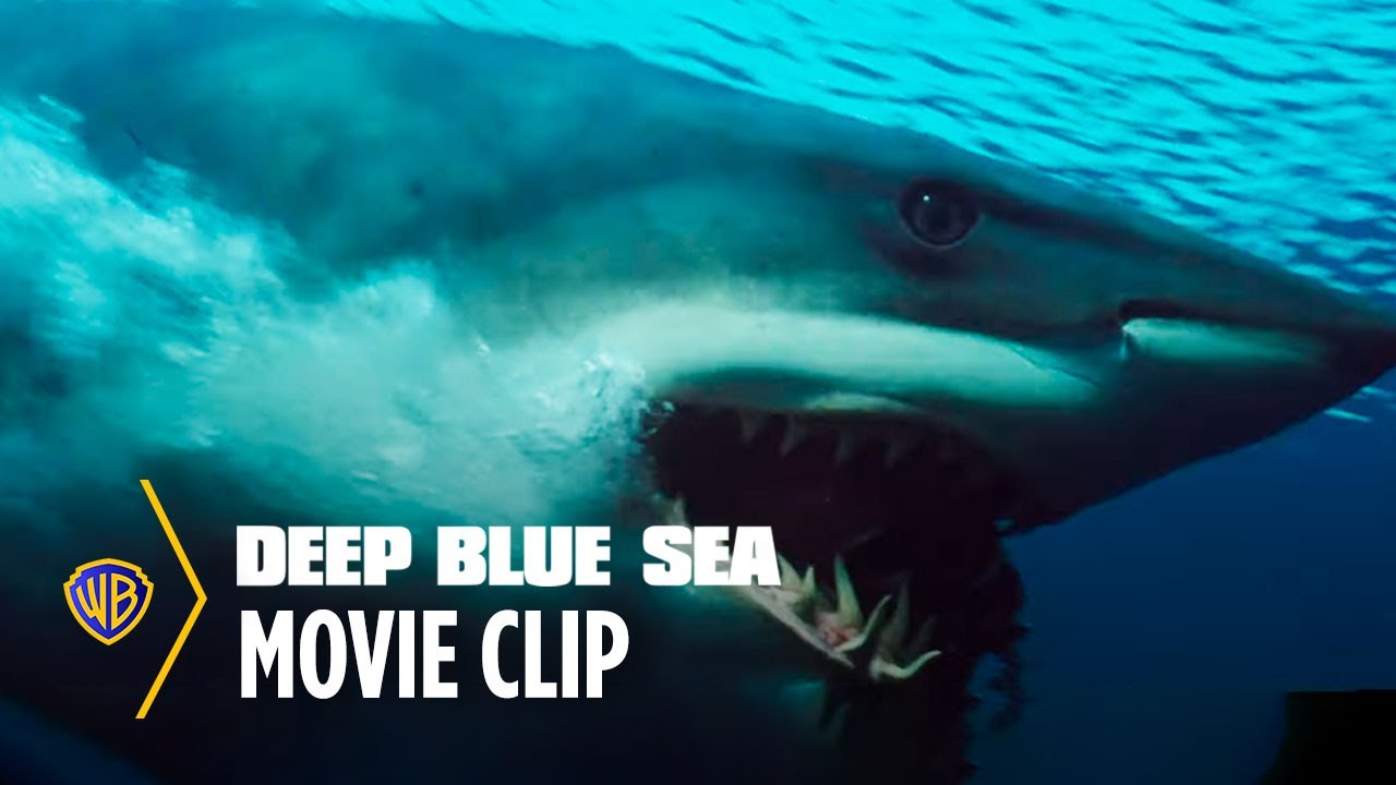 Deep Blue Sea Shark Escape Warner Bros Entertainment Youtube