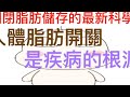 降低糖尿病、高血压 35%和20%